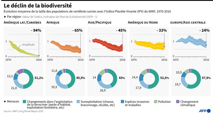 environnement