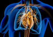 Zakhia Saliba signe une première au Liban : valve pulmonaire sans chirurgie lourde