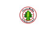 Akkar: les tirs festifs menacent le réseau électrique