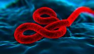Ebola: premières pistes d’un traitement?