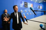 NATO Chief: US 'Totally Committed' to Collective Defense Pledge