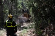 France: plus d'un tiers de la population en alerte canicule