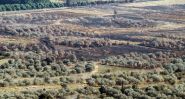 Liban: le secteur agricole durement touché par la guerre