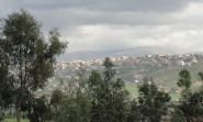Liban-Sud: tirs et opérations de dynamitage