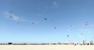 Berck-sur-Mer: le grand ballet des cerfs-volants est lancé
