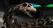 Nagatitan chaiyaphumensis, le titan oublié d’Asie du Sud-Est