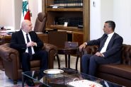Liban-Sud: 22,5% des terres agricoles endommagées
