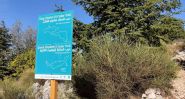 Le sentier des cèdres du roi Charles III ouvre au Liban