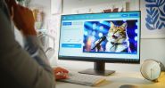 Votre chat vous parle-t-il? Une IA affirme le comprendre