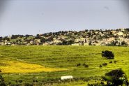 Liban-Sud: la terre interdite