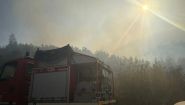 L’incendie de la forêt de Hermel a été maîtrisé