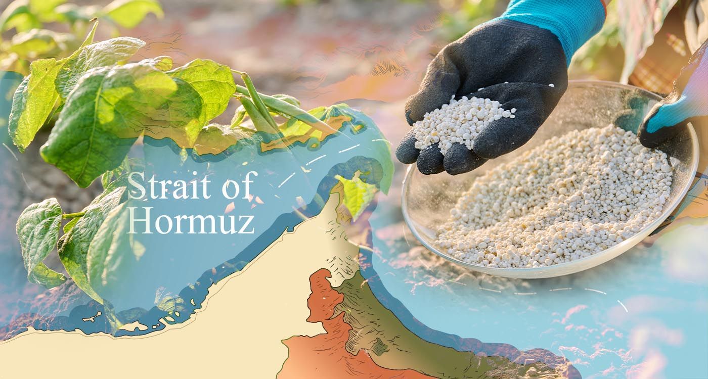 Détroit d’Ormuz: la guerre qui menace les récoltes et notre assiette