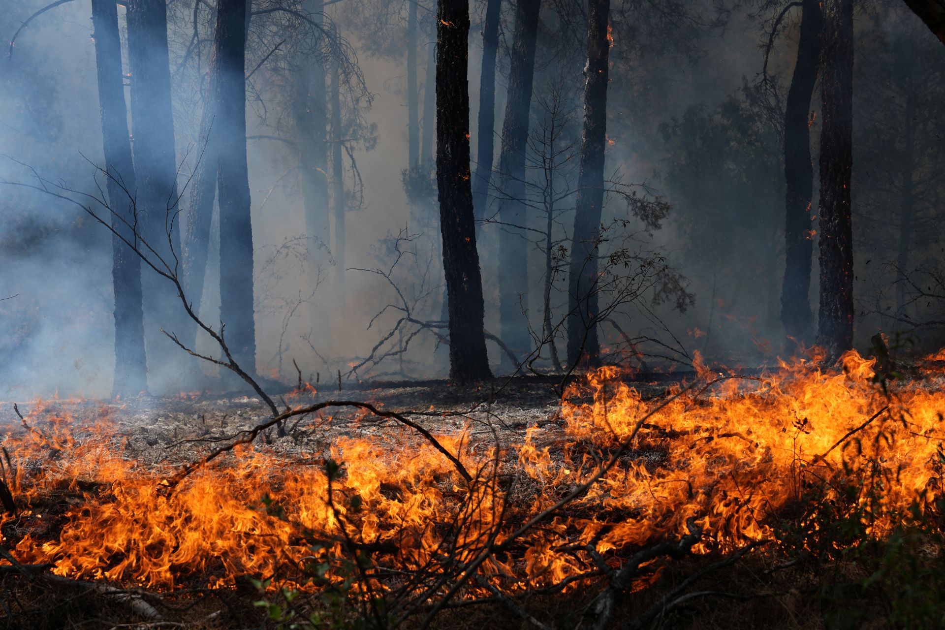 Allemagne: incendie de 300 hectares dans l'ouest, 1.800 personnes évacuées