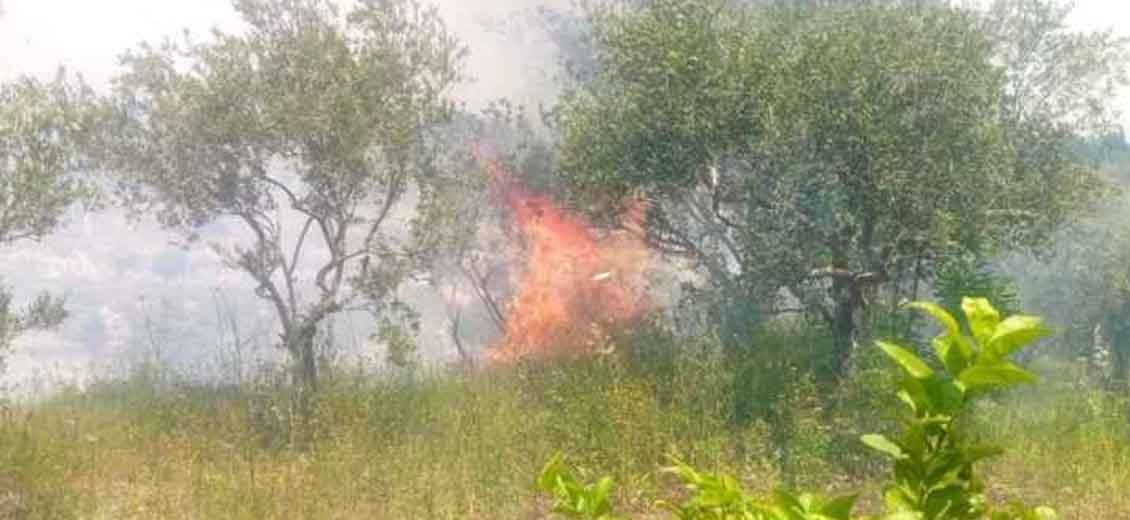 Incendie à al-Kharayeb, au Liban-Sud