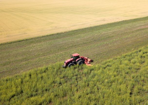 Enfin un accord sur l'exportation des céréales ukrainiennes