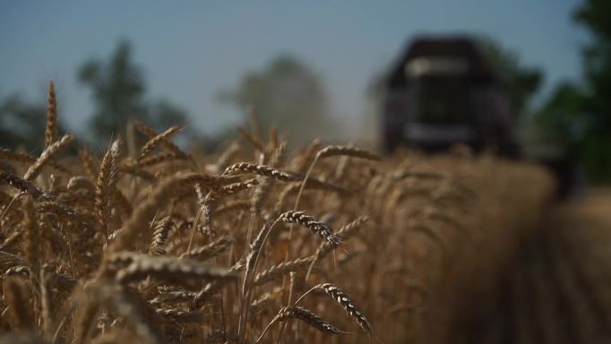 La communauté internationale se décide à combattre l'insécurité alimentaire