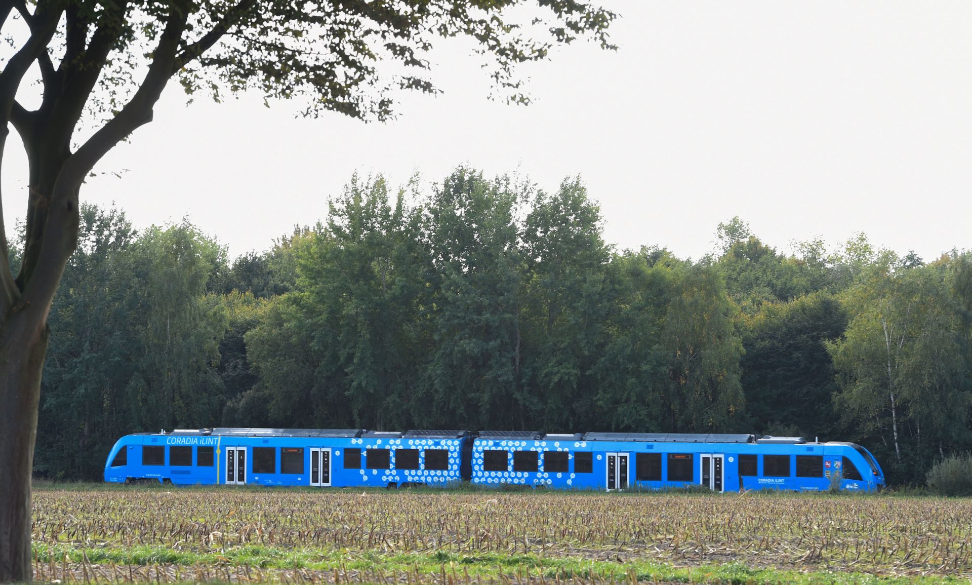 Allemagne: le train à hydrogène sur de bons rails