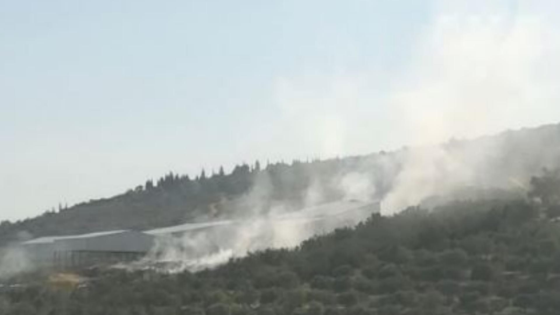 Incendies en série: la chaleur extrême et l’inaction climatique pointées du doigt
