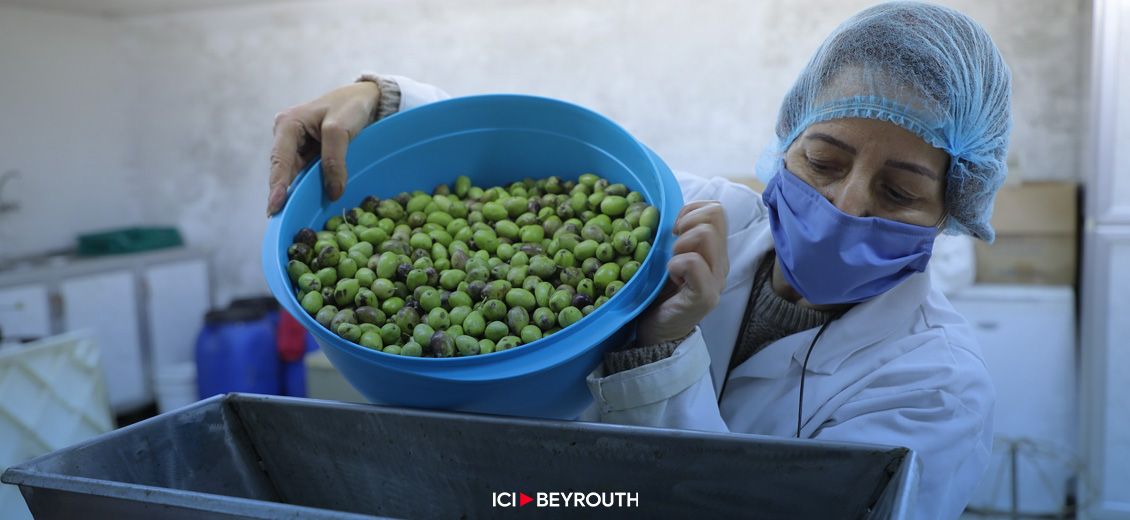 Le secteur agricole libanais n’est pas autosuffisant