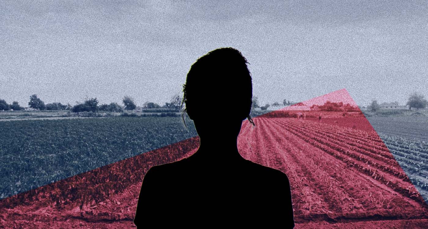 Au Liban-Sud, les femmes passent de l’endurance à la décision