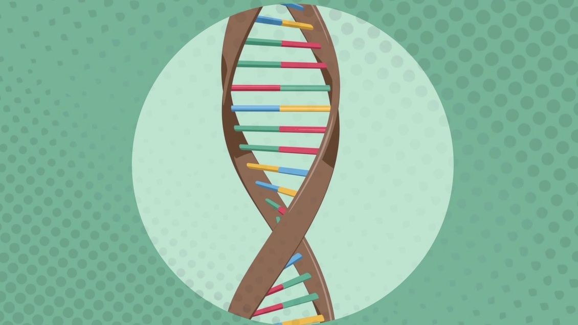 La mutation génétique à travers l'histoire