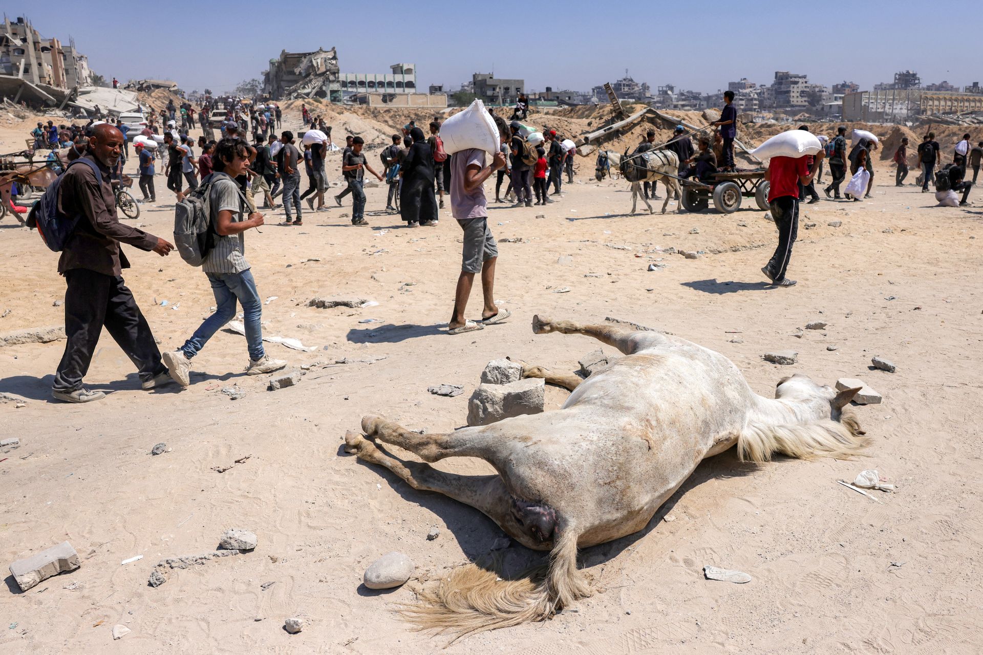 Trump annonce la mise en place de centres de distribution alimentaire à Gaza