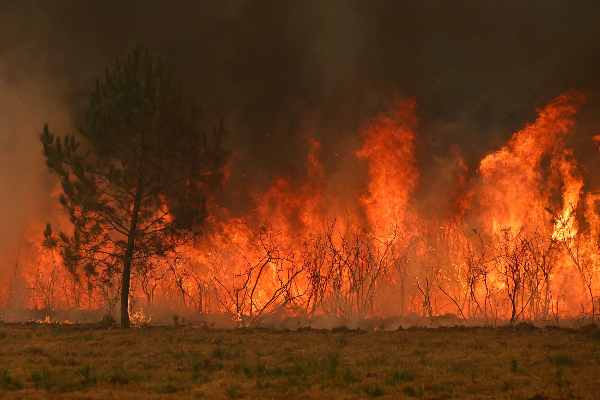 Incendie en France: les pompiers dans «l'impuissance» face à un «orage de feu» inédit