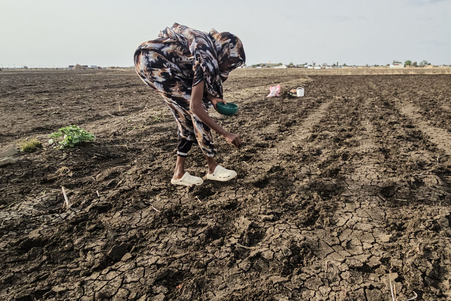 L'ONU prévoit un El Niño «de très forte intensité» ces cinq prochains mois