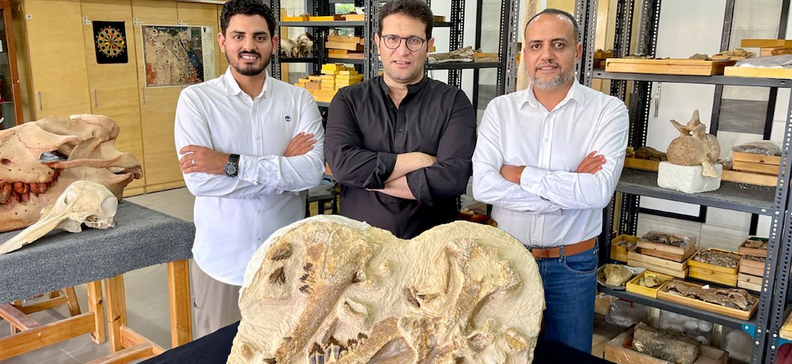 Découverte en Égypte de l'une des plus anciennes baleines d'Afrique