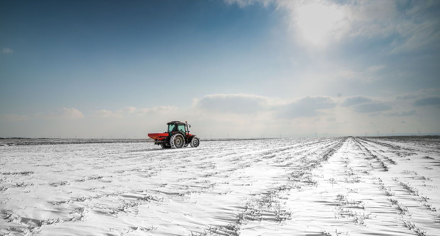 De la sècheresse au gel, un hiver perturbé pour l’agriculture 