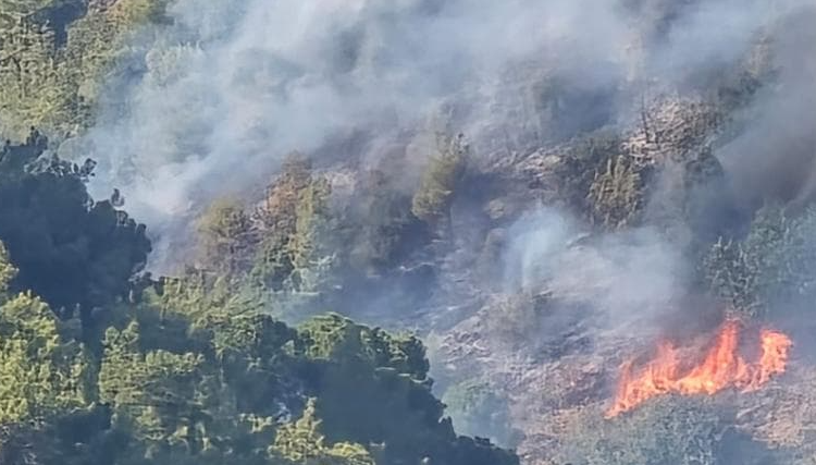 Les incendies ravagent le Liban