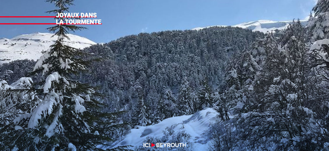 Les réserves naturelles du Liban (1)- Géographie