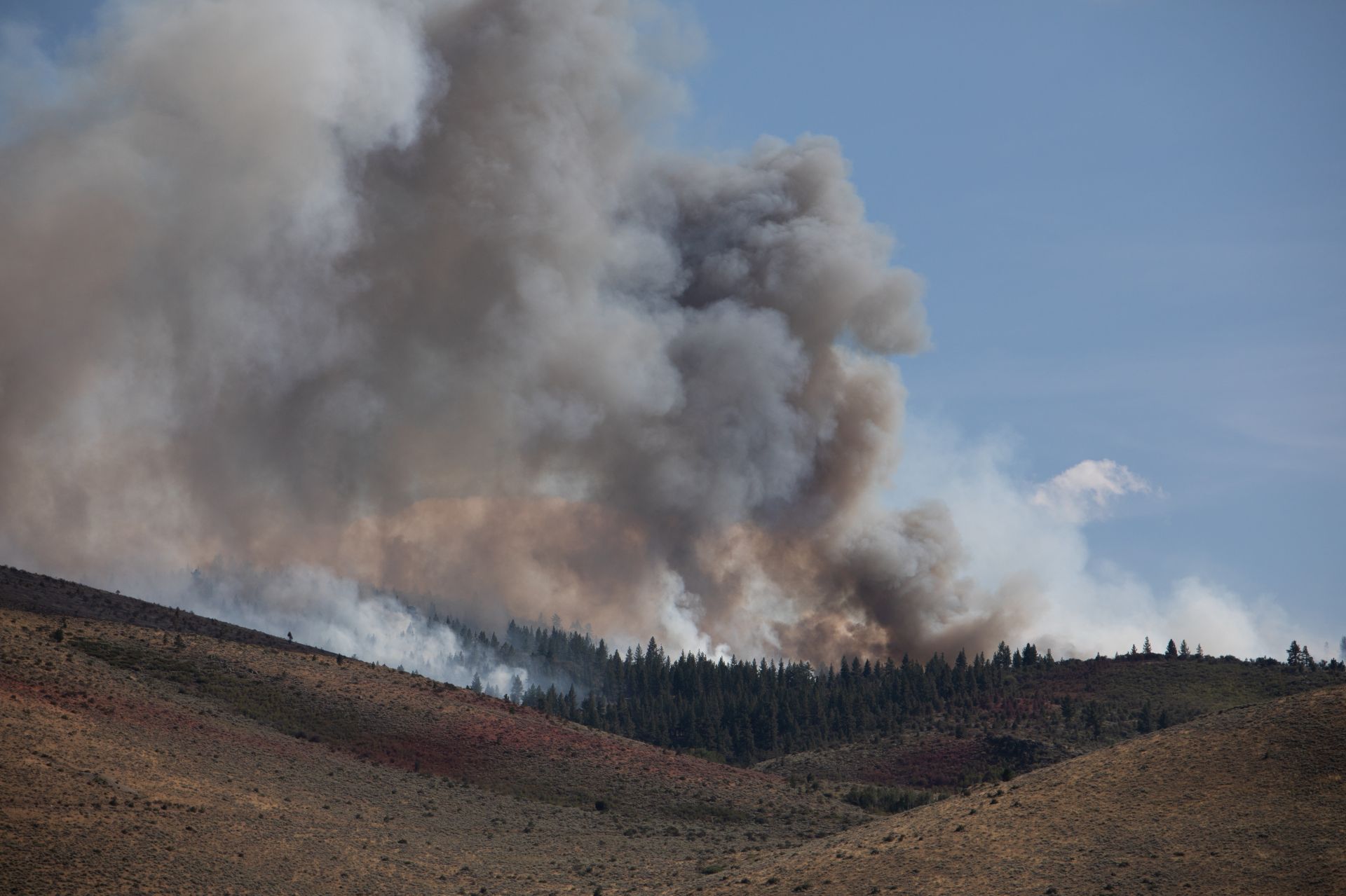 Des dizaines de milliers d'évacuations en cours face à un feu de forêt dans le Nevada