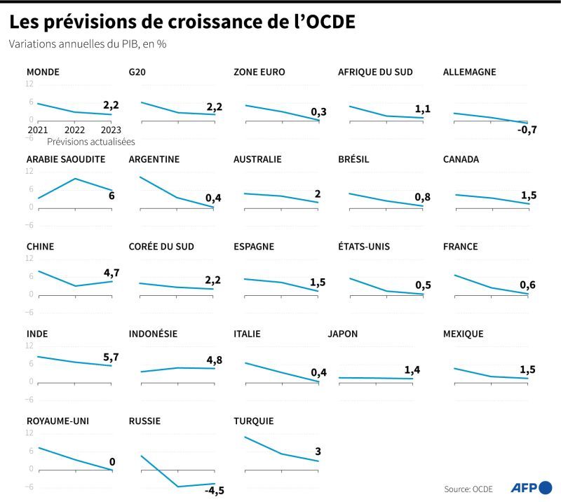 La croissance mondiale 2025 révisée à la baisse par l'OCDE, sur fond d'incertitudes et de tensions commericales