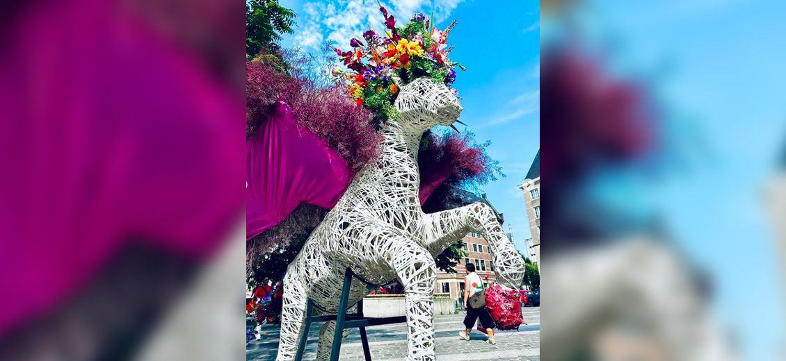 Diversité en fleurs sur la Grand-Place de Bruxelles