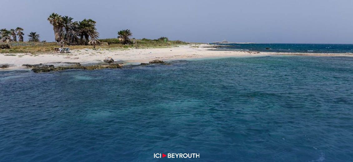 Fermeture temporaire de l’île des Palmiers