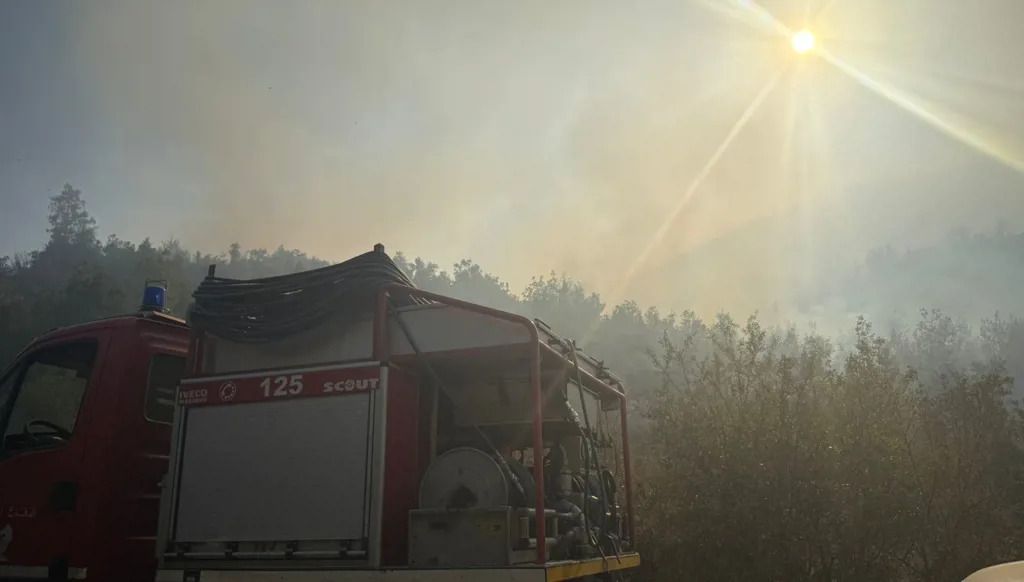L’incendie de la forêt de Hermel a été maîtrisé
