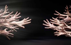 L’homme n’a pas d’instinct, la femme non plus
