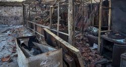 En Crète, les incendies détruisent des vies et des entreprises