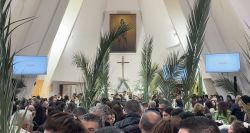 Malgré la guerre, des Rameaux sous le signe de l’espérance