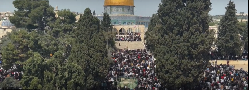 Ramadan: première grande prière à Al Aqsa