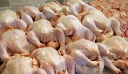 Une tentative de contrebande de 500 kg de poulet avarié déjouée à Qaa