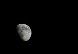 Le sol lunaire pas si fertile pour la salade