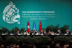 COP15: l'inattendu entêtement chinois pour parvenir à un accord