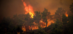 Incendies et record de chaleur assaillent la Méditerranée