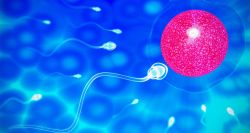 Créer des ovules humains à partir de la peau: jusqu’où ira la science?