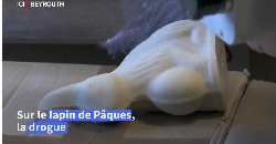 En Belgique, la douane traque les lapins de Pâques à l'ecstasy