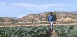 En Espagne, le potager de l'Europe au cœur d'une guerre de l'eau