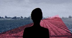 Au Liban-Sud, les femmes passent de l’endurance à la décision