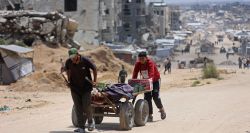 À Gaza, les livraisons à vélo deviennent une nécessité pour survivre